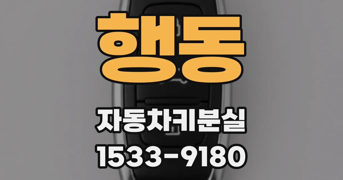 행동 자동차키분실