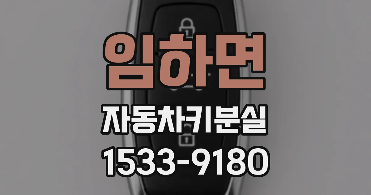 임하면 자동차키분실