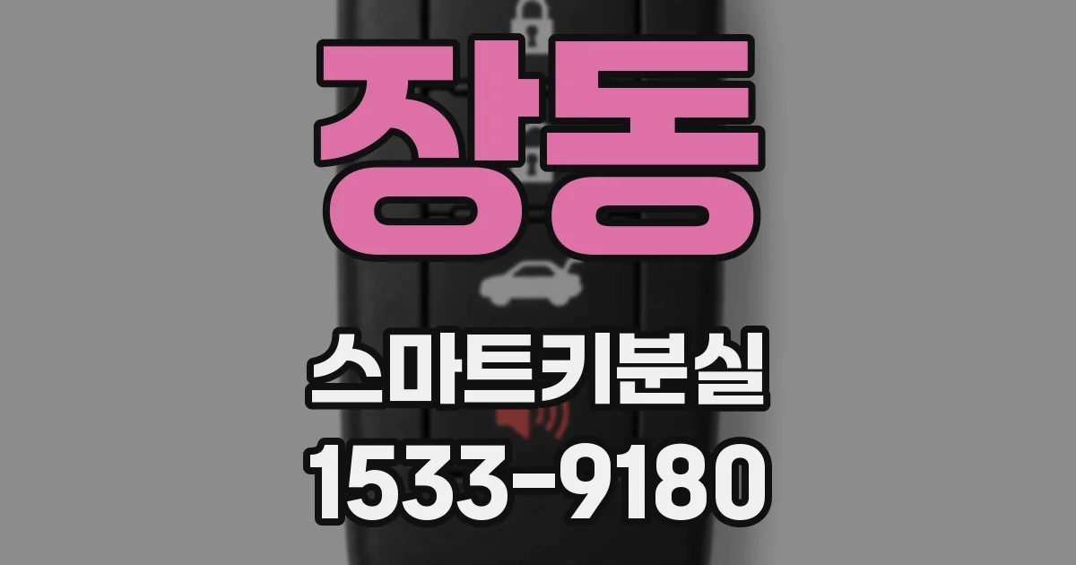 장동 스마트키분실