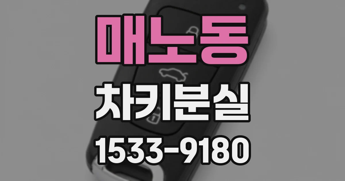 매노동 차키분실