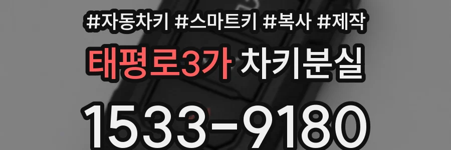 태평로3가 차키분실