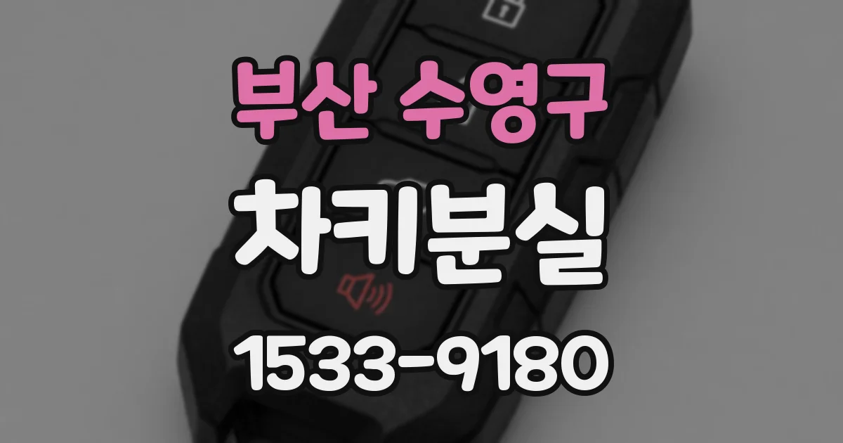 부산 수영구 차키분실