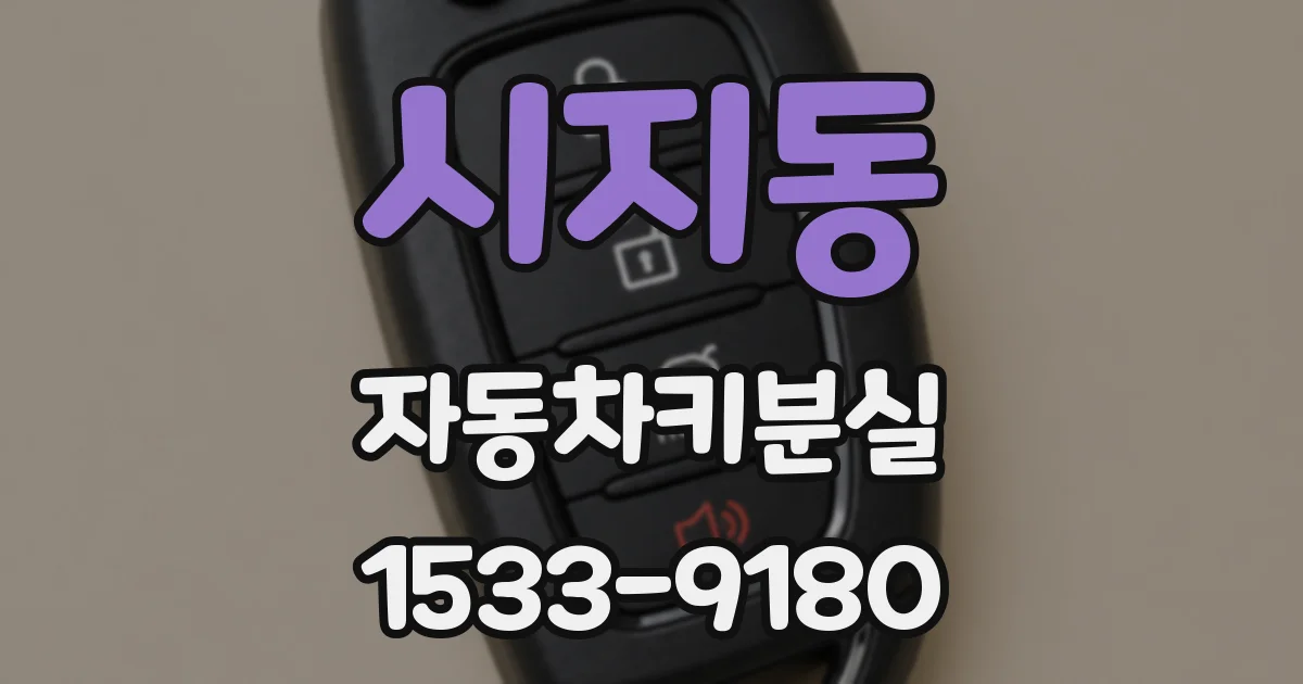 시지동 자동차키분실