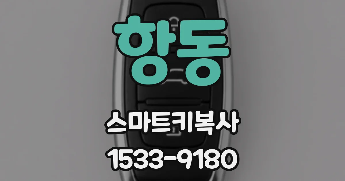항동 스마트키복사