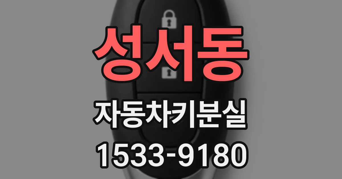 성서동 자동차키분실