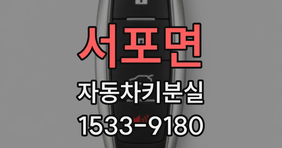 서포면 자동차키분실