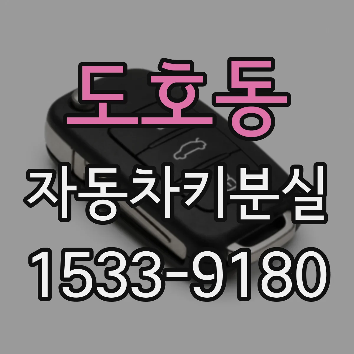 도호동 자동차키분실