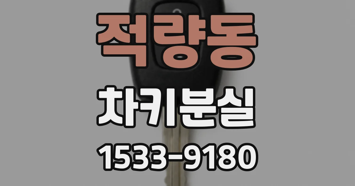 적량동 차키분실