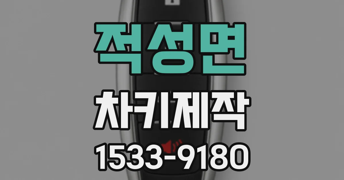 적성면 차키제작