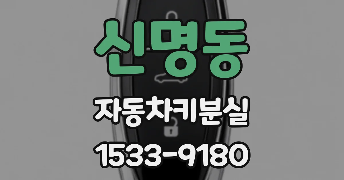 신명동 자동차키분실