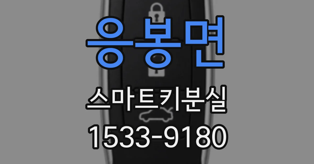 응봉면 스마트키분실