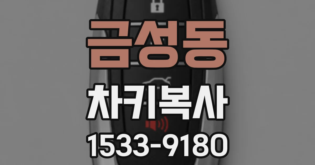 금성동 차키복사