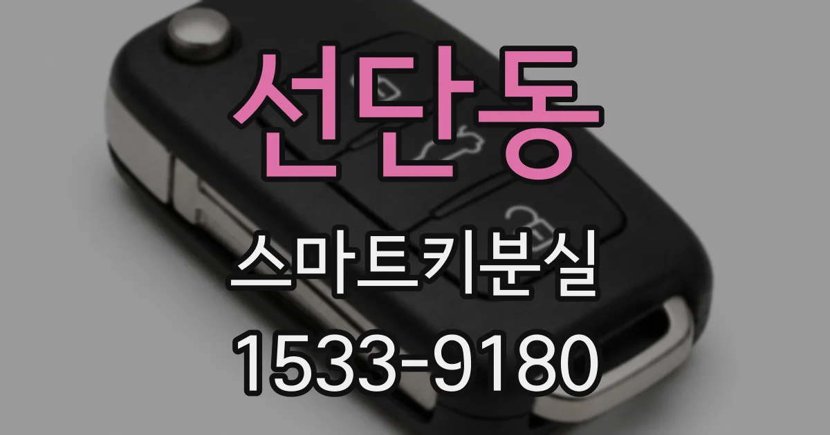 선단동 스마트키분실