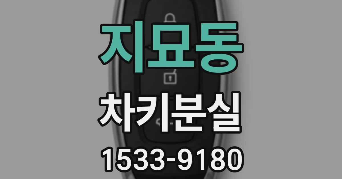 지묘동 차키분실
