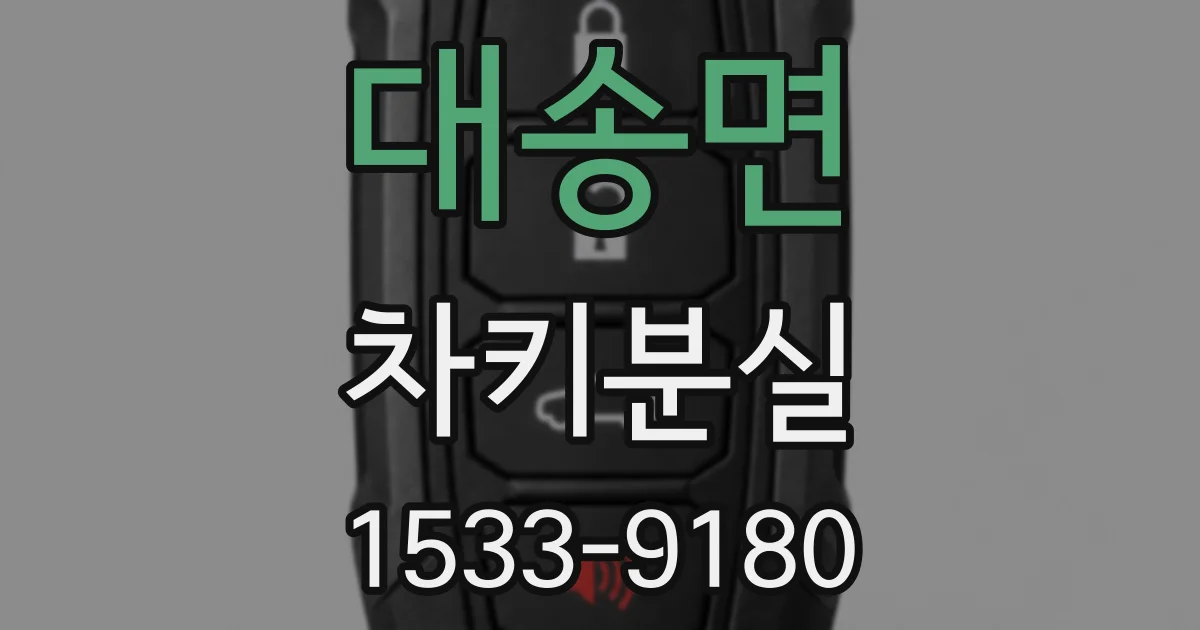 대송면 차키분실