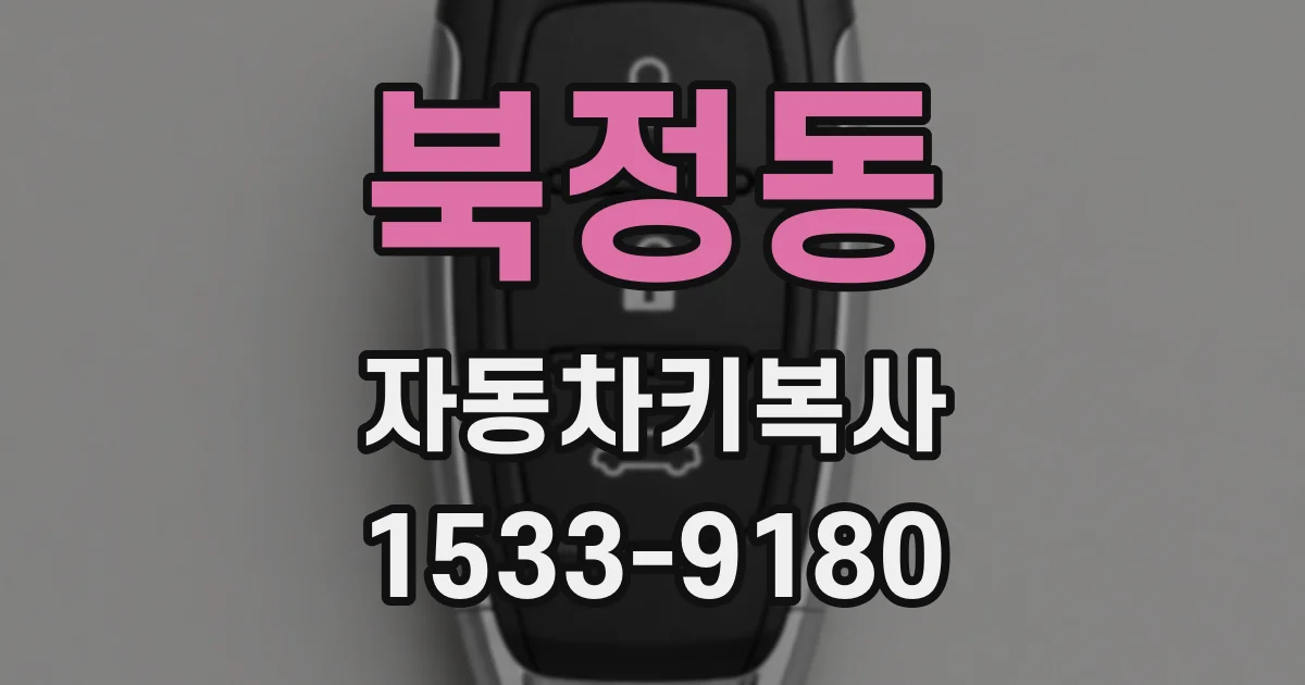 북정동 자동차키복사