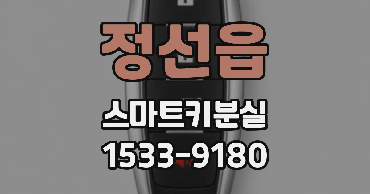 정선읍 스마트키분실