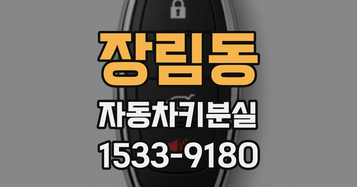장림동 자동차키분실