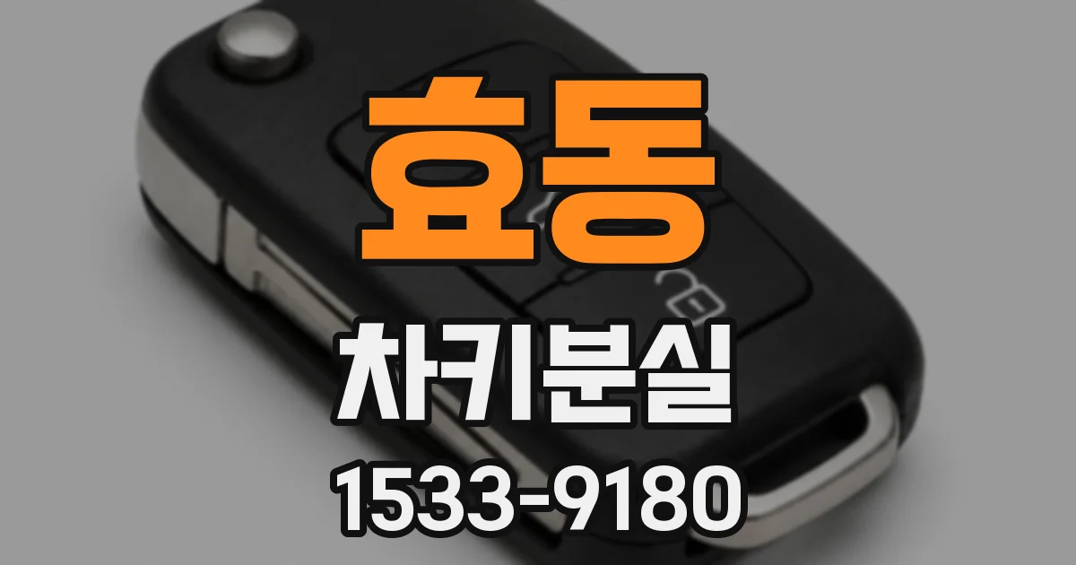효동 차키분실