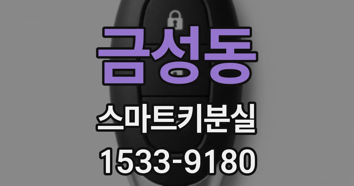 금성동 스마트키분실