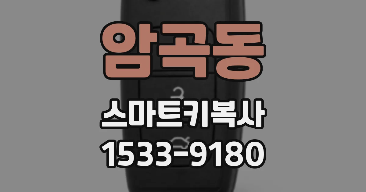 암곡동 스마트키복사