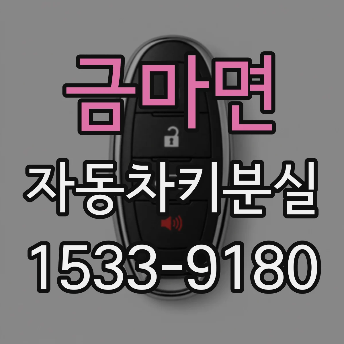 금마면 자동차키분실