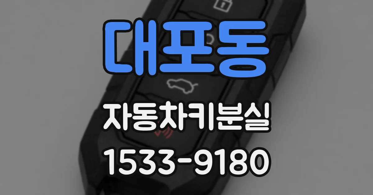 대포동 자동차키분실