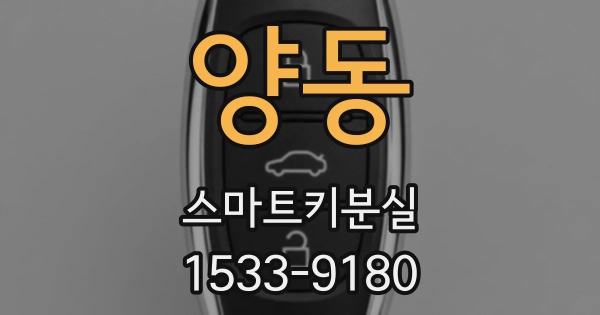 양동 스마트키분실