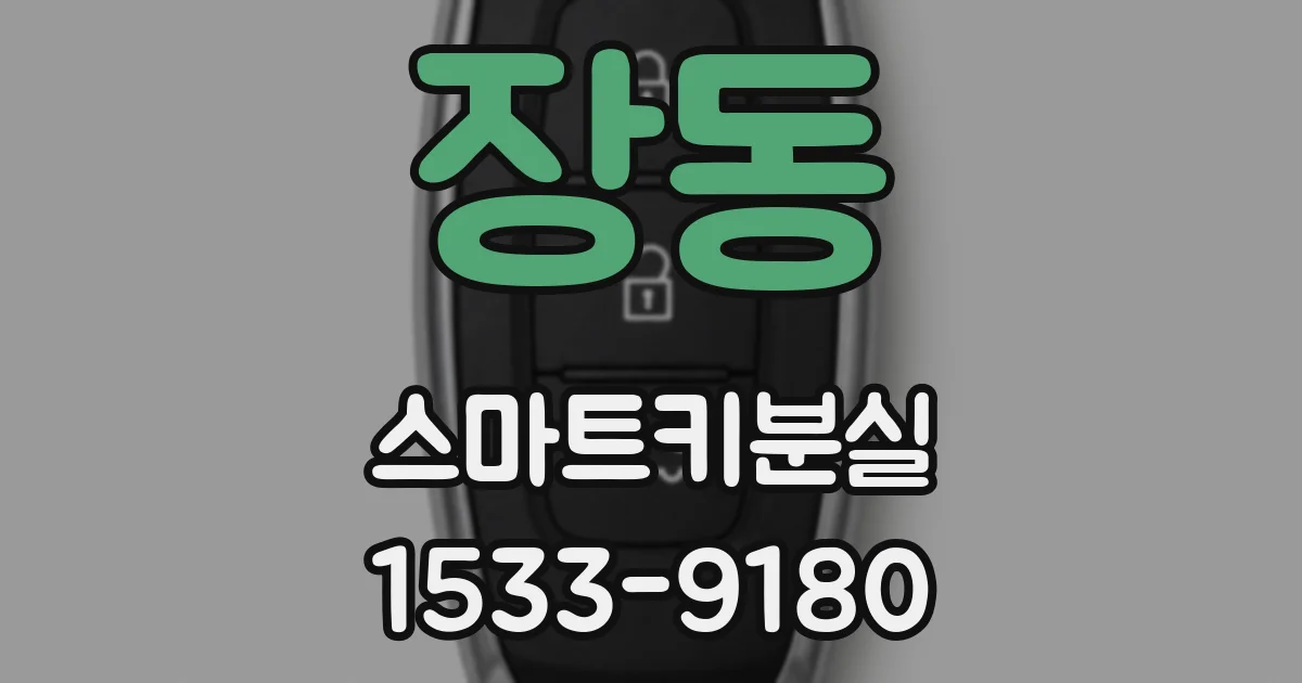 장동 스마트키분실