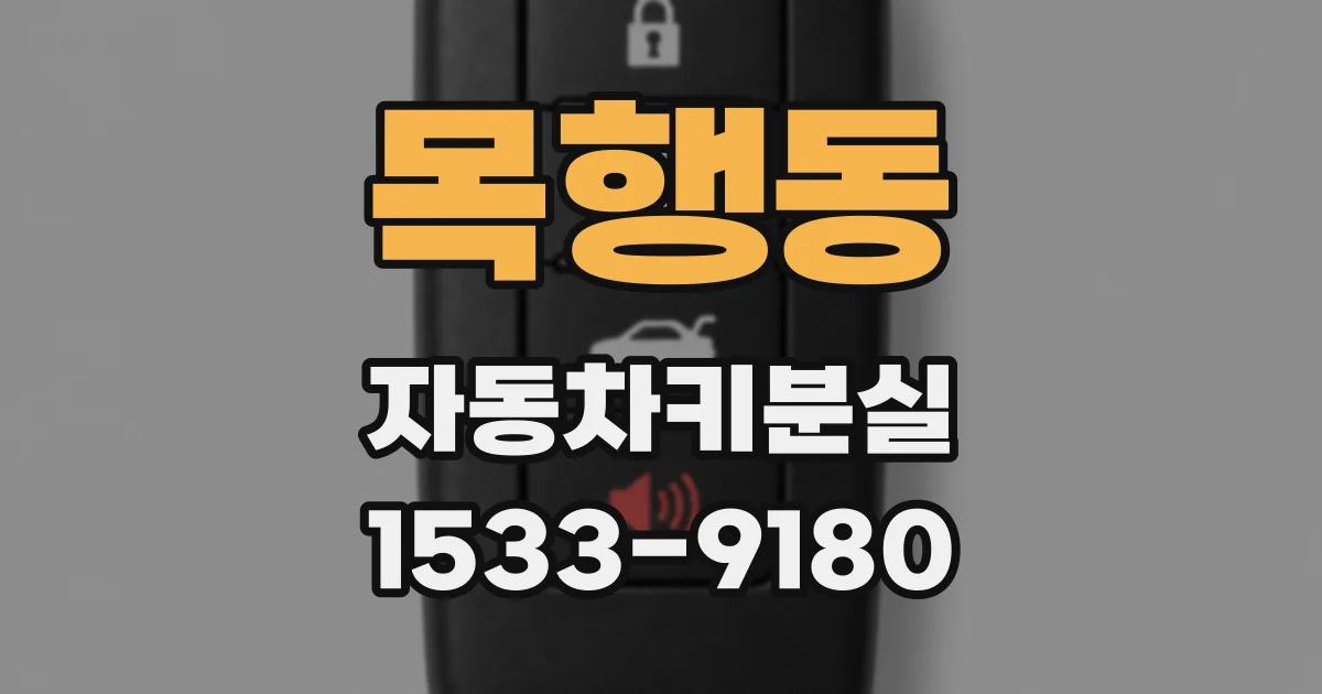 목행동 자동차키분실