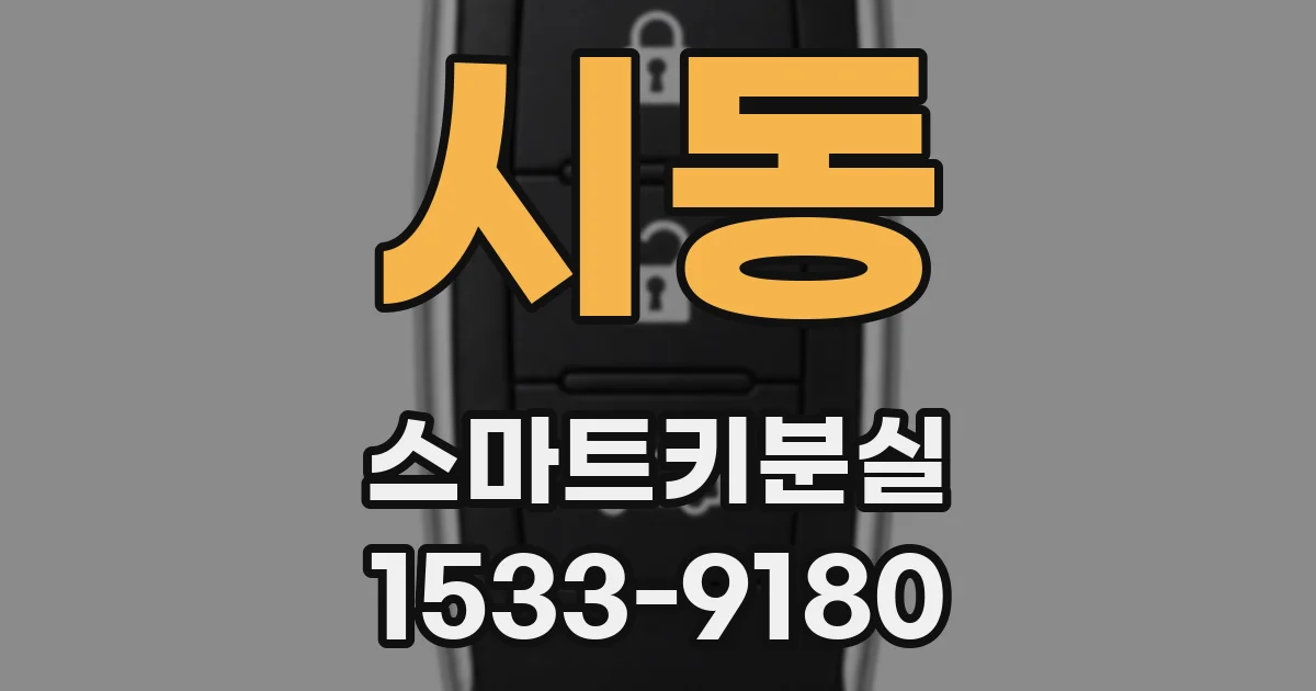 시동 스마트키분실