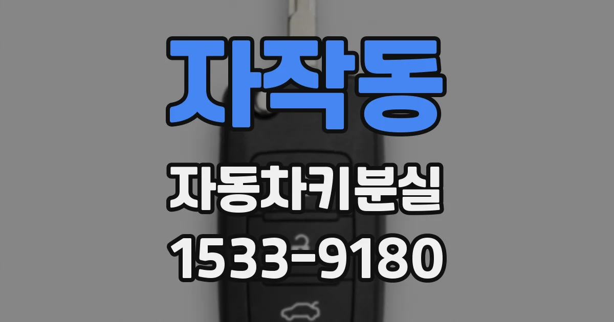 자작동 자동차키분실
