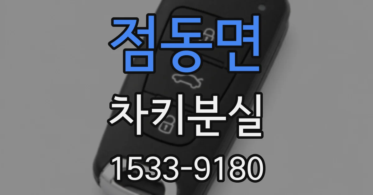 점동면 차키분실