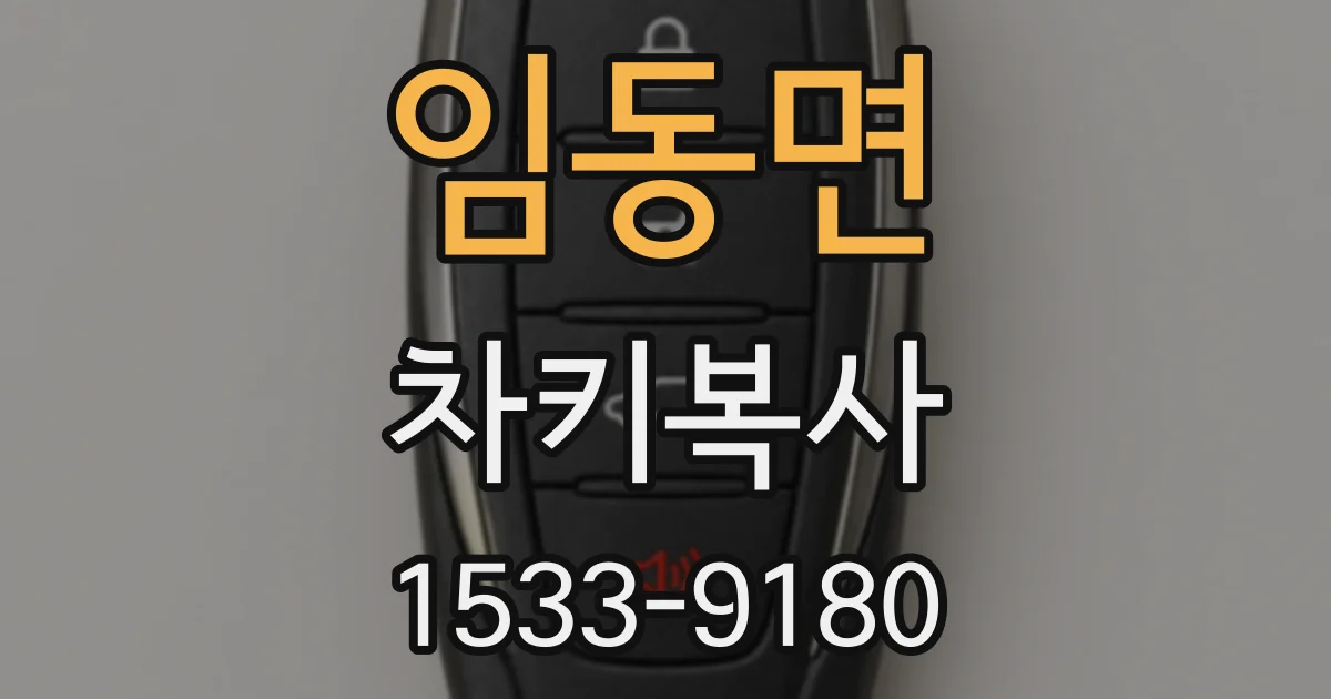 임동면 차키복사