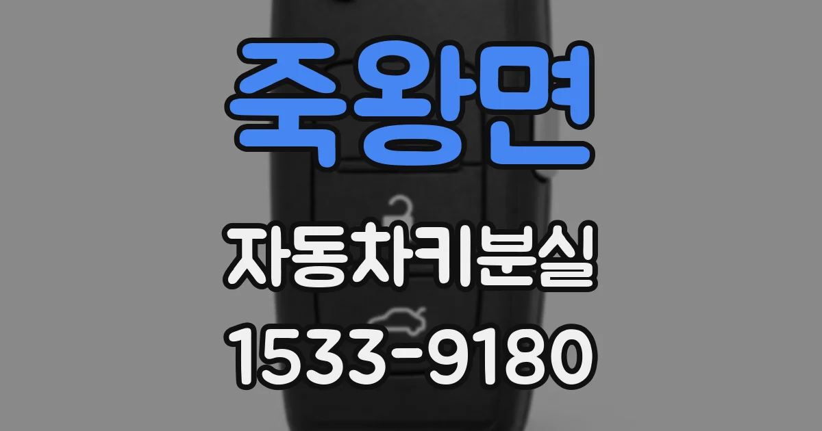죽왕면 자동차키분실