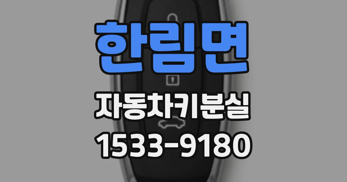 한림면 자동차키분실
