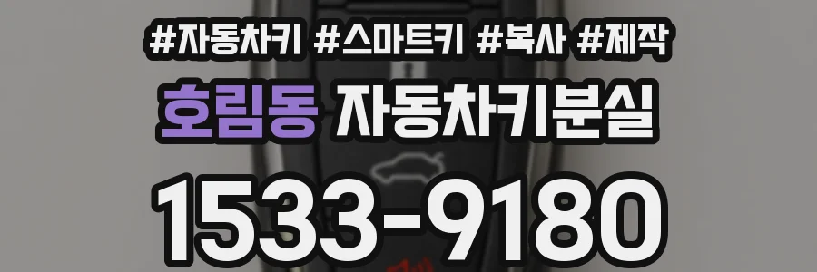 호림동 자동차키분실