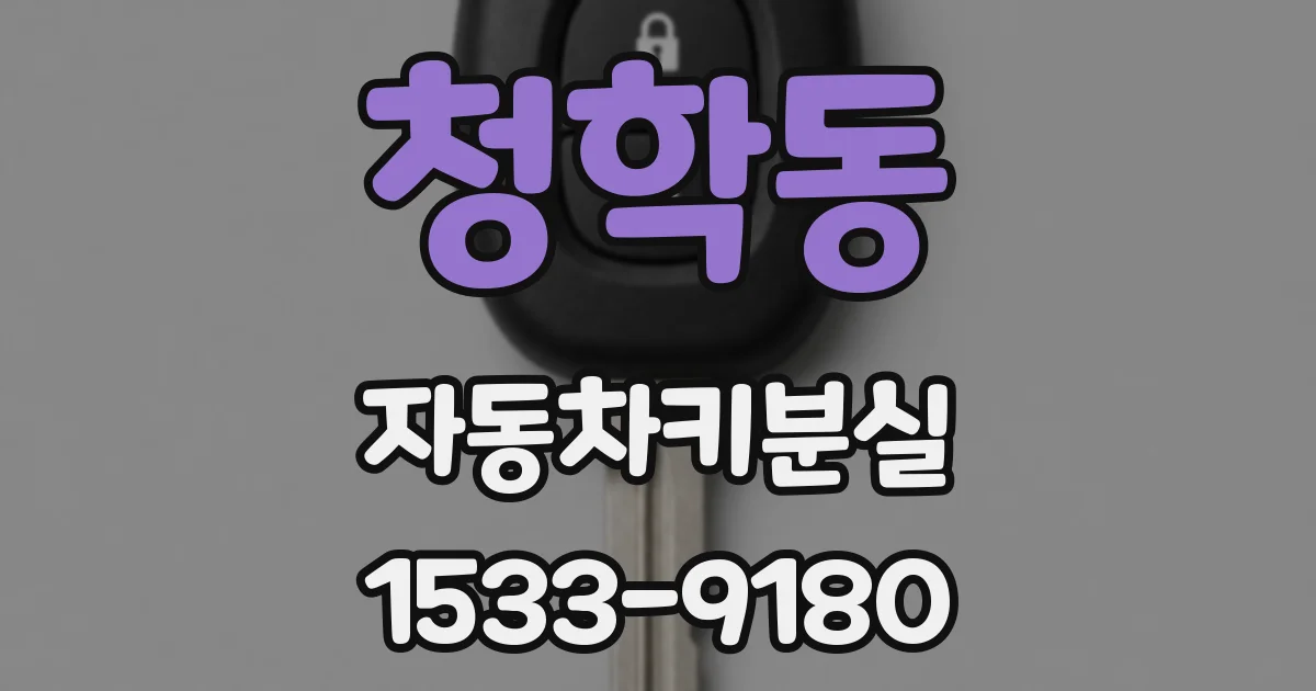 청학동 자동차키분실