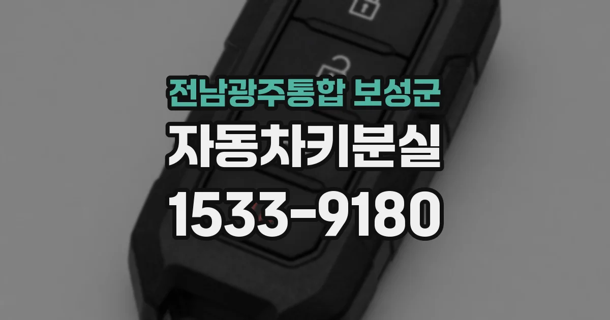 전남광주통합 보성군 자동차키분실