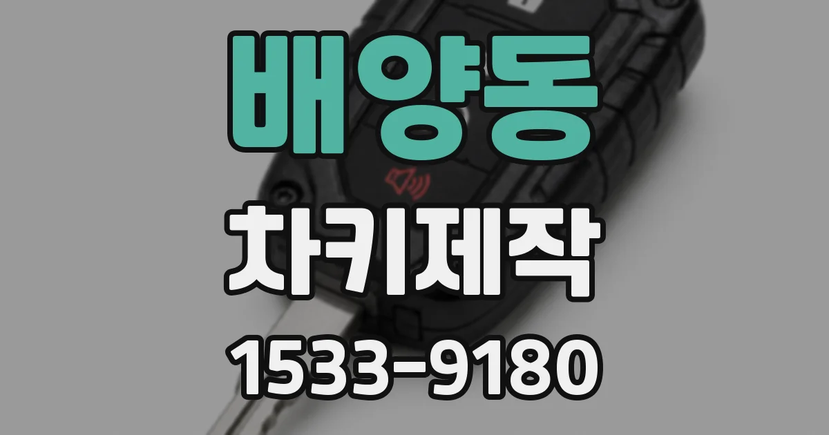 배양동 차키제작