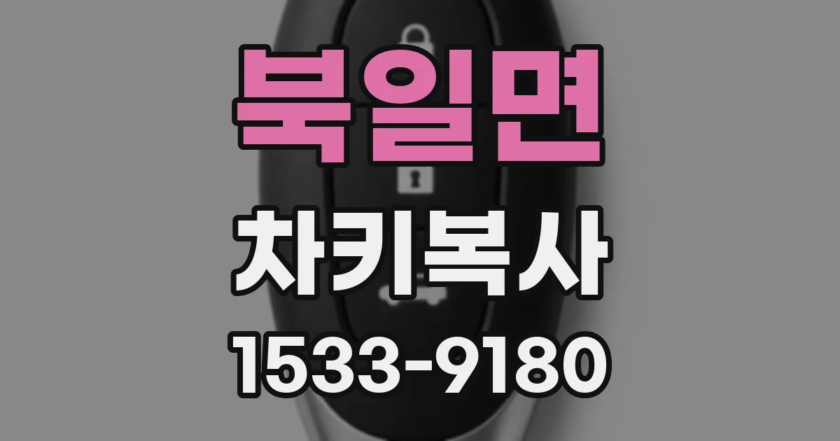 북일면 차키복사