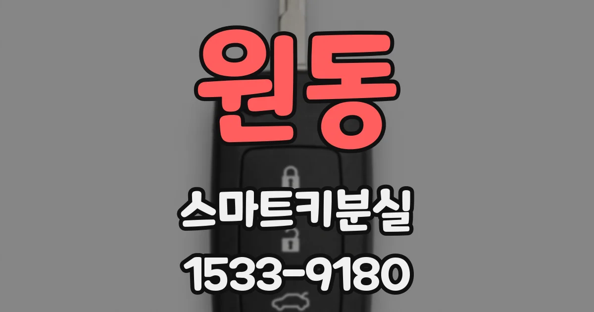 원동 스마트키분실