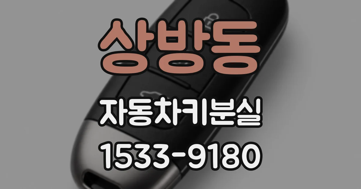 상방동 자동차키분실