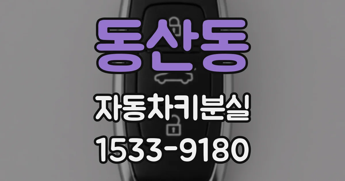동산동 자동차키분실