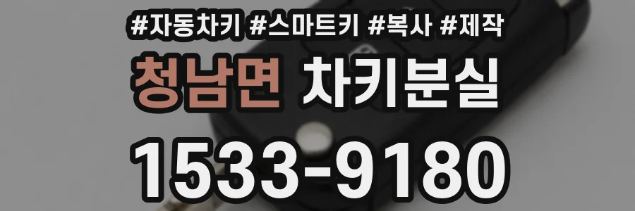 청남면 차키분실