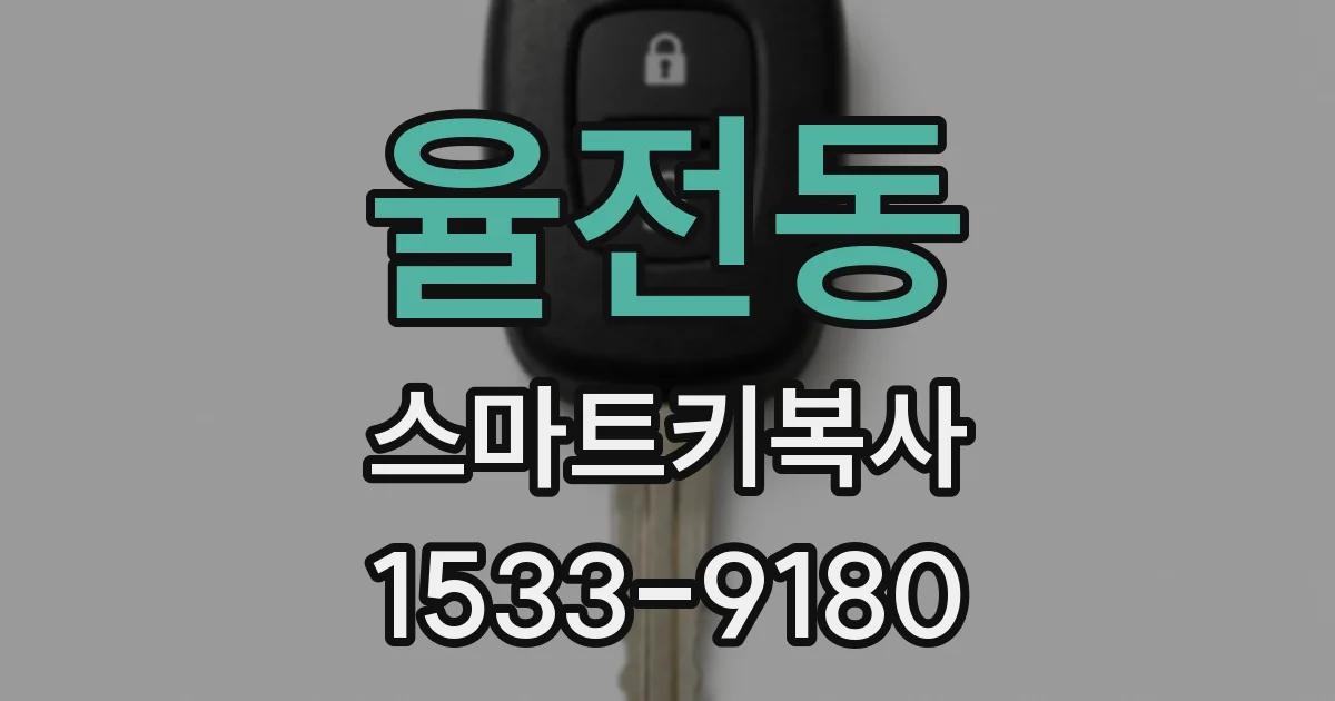 율전동 스마트키복사