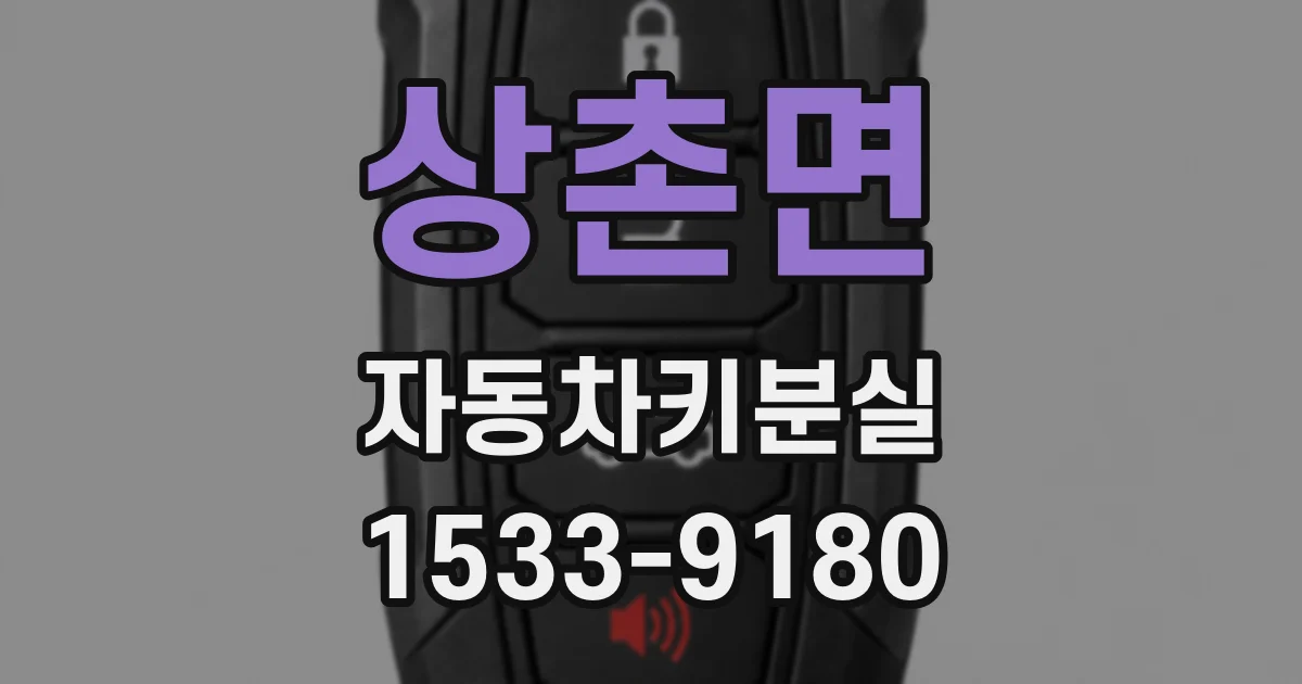 상촌면 자동차키분실