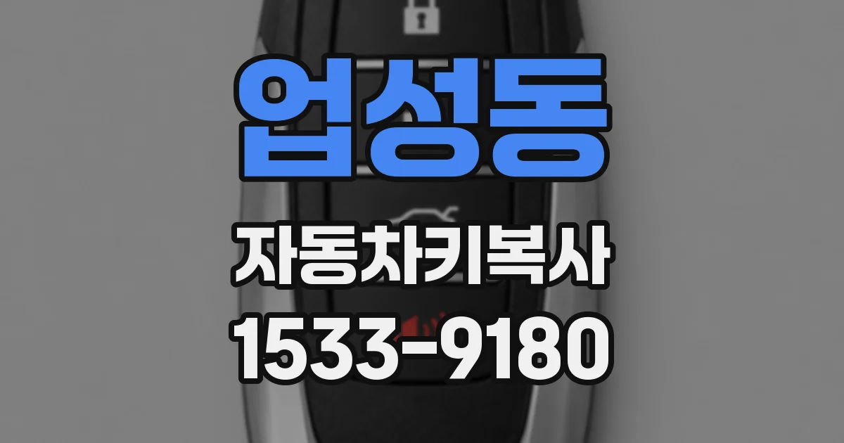 업성동 자동차키복사