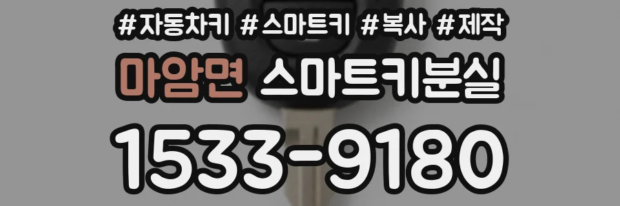 마암면 스마트키분실