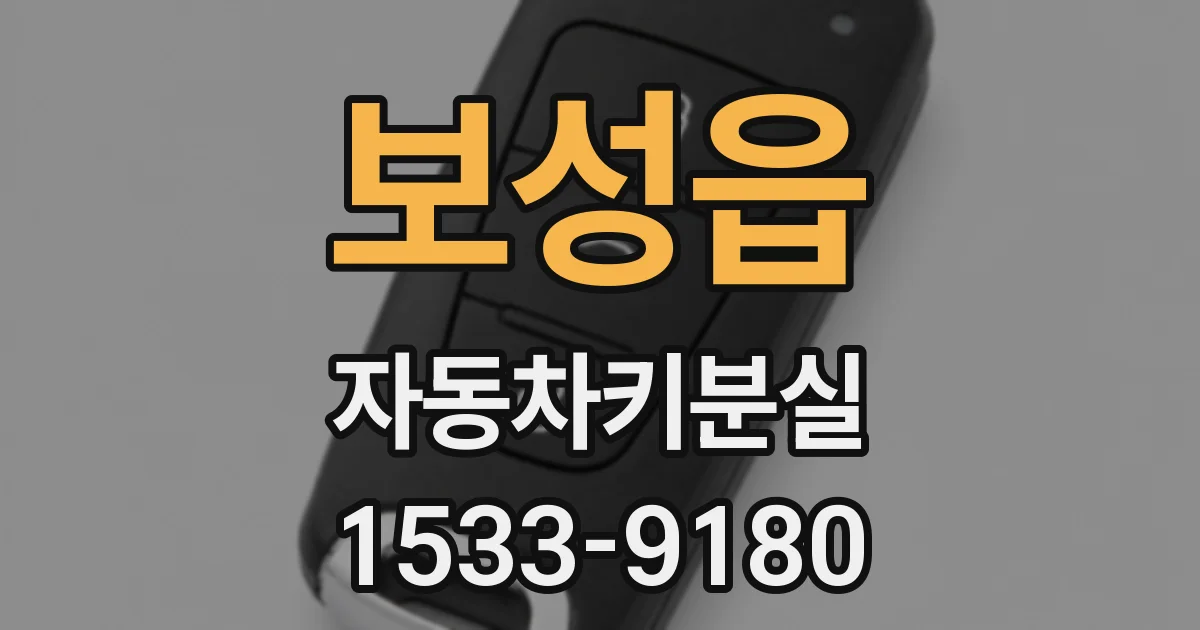 보성읍 자동차키분실